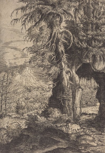 岩の門、1554 年。 作： Hans Sebald Lautensack