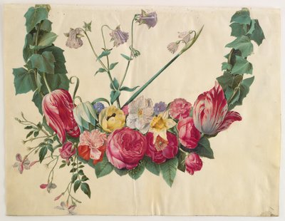 花つる 作： Hans Simon Holtzbecker