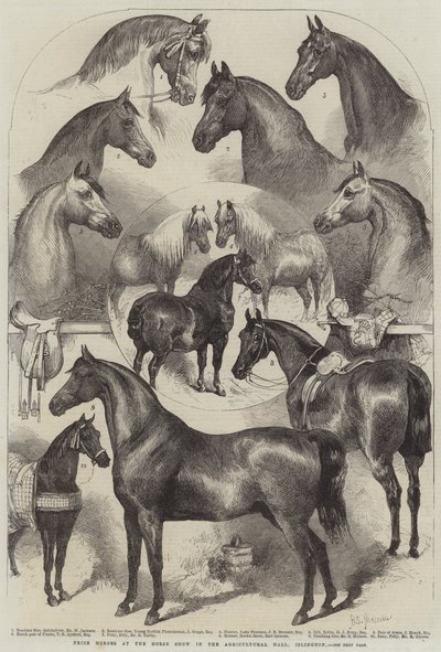 イズリントン農業ホールでの馬ショーでの馬の賞 作： Harden Sidney Melville