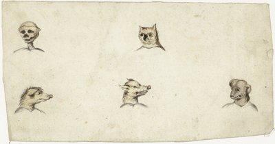 4 匹の動物の頭と骸骨 作： Harmen ter Borch