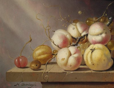 棚の上の果物の静物（パネル） 作： Harmen van Steenwyck