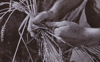 ストローバンド作り（白黒写真） 作： Harold Burdekin