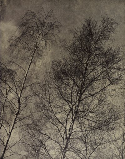 彼らの魅力は液体の空に沿って、ロバート・ブリッジズ（白黒写真） 作： Harold Burdekin