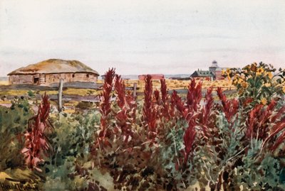 Vereginの家庭菜園 作： Harold Copping