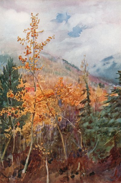 ブリティッシュコロンビア州ネルソン近くの山側 作： Harold Copping
