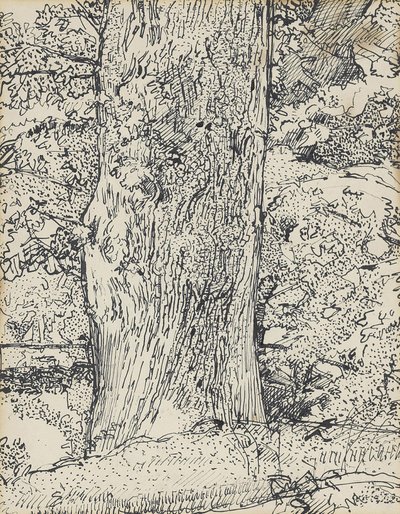 ツリー、1916 作： Harold Gilman
