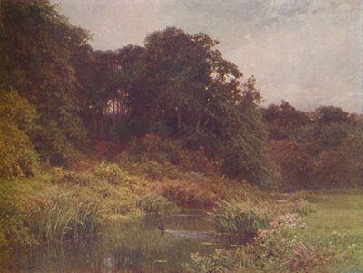 ブルック、1910 作： Harold Sutton Palmer