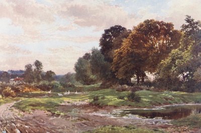 エッシャー・コモンの一角（カラーリトグラフ） 作： Harold Sutton Palmer