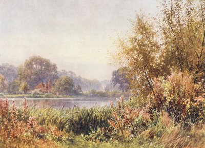 秋の雑草、チルワース（カラーリトグラフ） 作： Harold Sutton Palmer