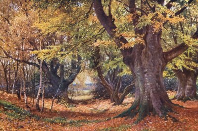 ゴダミング近郊、秋の茂み（カラーリトグラフ） 作： Harold Sutton Palmer