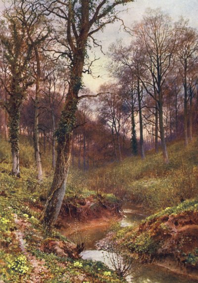 夕方の孤独、オックリー（カラーリトグラフ） 作： Harold Sutton Palmer