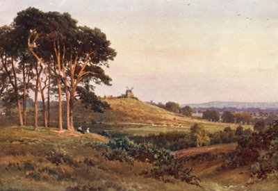 ライゲイト・ヒース、イブニング（カラーリトグラフ） 作： Harold Sutton Palmer
