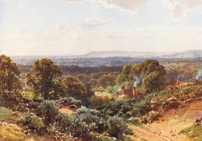 サンドヒルズ、ブラックダウン方面を望む（カラーリトグラフ） 作： Harold Sutton Palmer