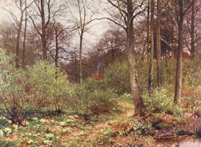 ジ・ゲームキーパーズ・コット（カラーリトグラフ） 作： Harold Sutton Palmer
