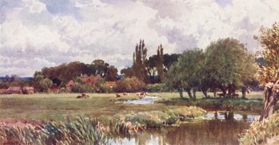 ザ・ミーズ、ファーナム（カラーリトグラフ） 作： Harold Sutton Palmer