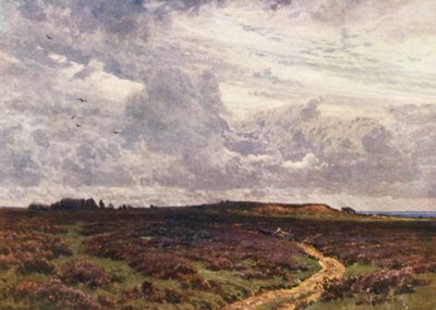 ミルフォード・ヒース、サンディ・ロード（カラーリトグラフ） 作： Harold Sutton Palmer