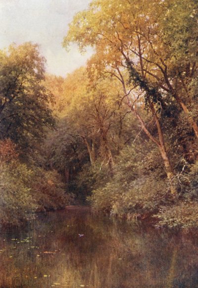 サイレント・プール、アルバリー（カラーリトグラフ） 作： Harold Sutton Palmer