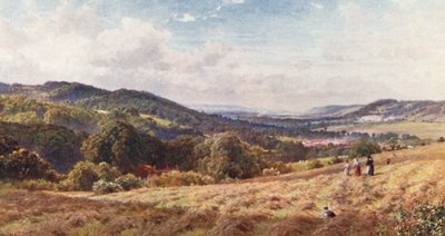 ドーキング峡谷（カラーリトグラフ） 作： Harold Sutton Palmer