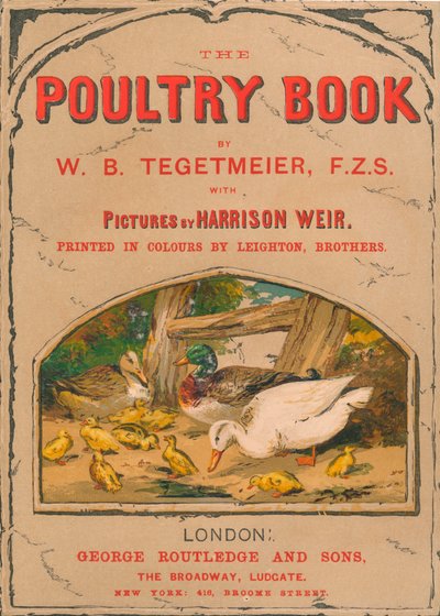 家禽の本、1867年。 作： Harrison Weir