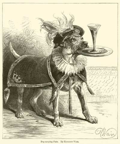 犬用キャリングプレート 作： Harrison William Weir