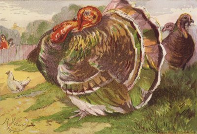怒った七面鳥のコック（カラーリトグラフ） 作： Harrison William Weir