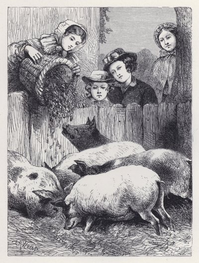 豚の餌やり（版画 作： Harrison William Weir