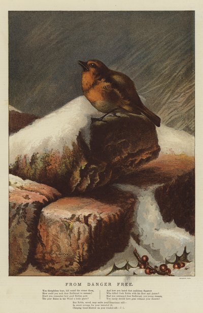 Danger Free（chromolitho）から 作： Harrison William Weir
