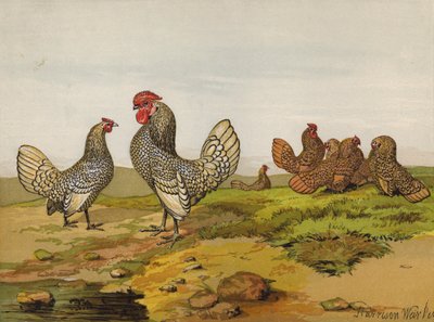 金銀混入バンタム（クロモリソウ 作： Harrison William Weir