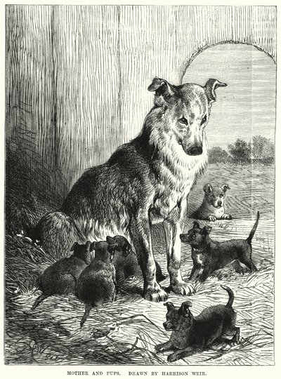 母と子（彫刻 作： Harrison William Weir