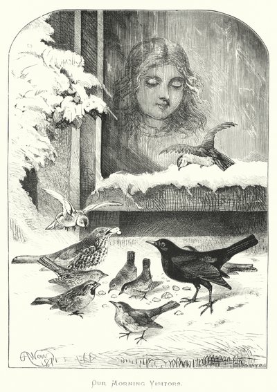 私たちの朝の訪問者 作： Harrison William Weir