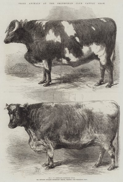 スミスフィールドクラブキャトルショーの動物賞 作： Harrison William Weir