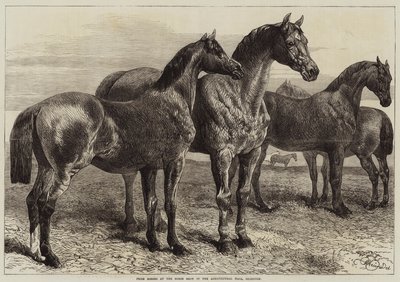 イズリントン農業ホールでの馬ショーでの馬の賞 作： Harrison William Weir