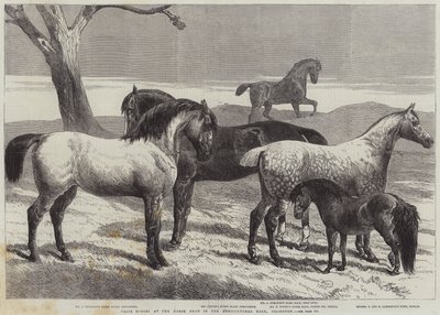 イズリントン農業ホールでの馬ショーでの馬の賞 作： Harrison William Weir
