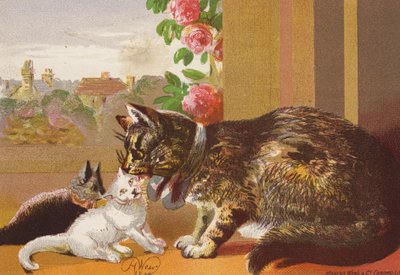 プスと子猫たち（カラーリトグラフ） 作： Harrison William Weir