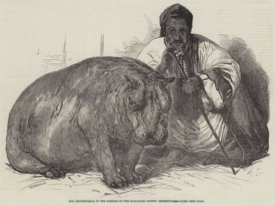 動物学園の庭園にあるカバ、リージェンツパーク 作： Harrison William Weir