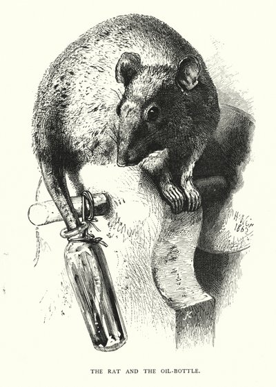 ネズミとオイルボトル（彫刻 作： Harrison William Weir