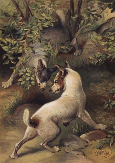 水を飲むためにプールにたどり着こうとしている 2 匹の犬 (クロモリソ) 作： Harrison William Weir