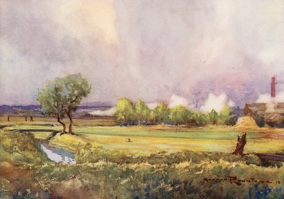 ゴルフコースカーヌスティ、「南米」（カラーリトグラフ） 作： Harry (1878 1950) Rountree