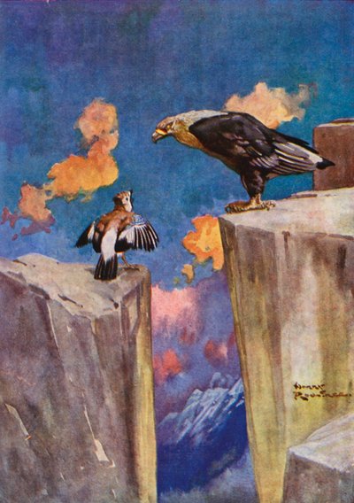 カケスとナイチンゲール (カラーリソ) 作： Harry Rountree