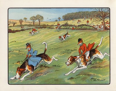 The Fox