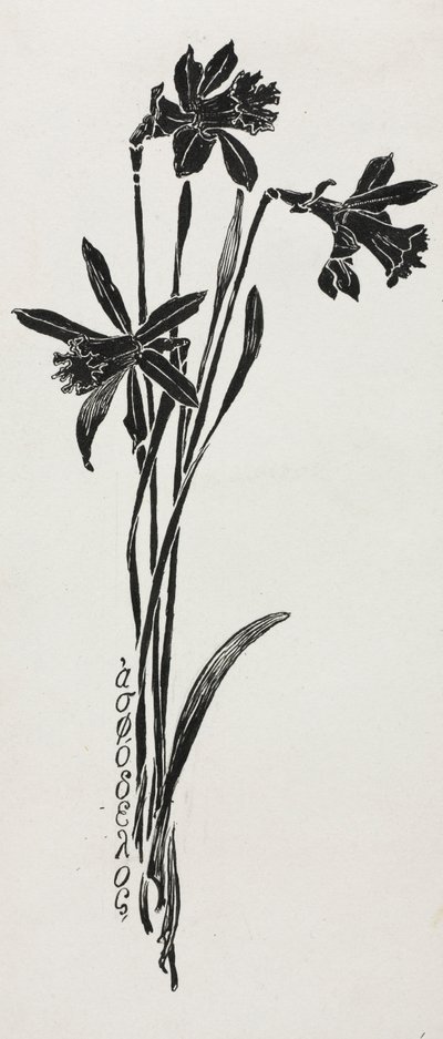 水仙。 作： Harry Fenn