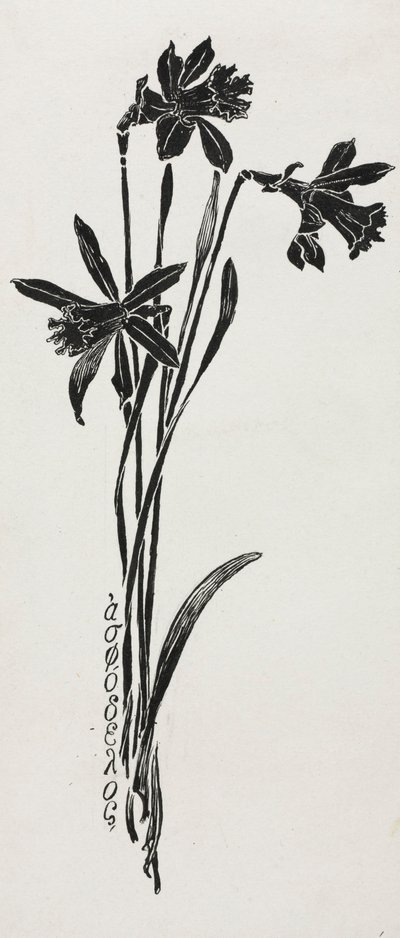 水仙 作： Harry Fenn