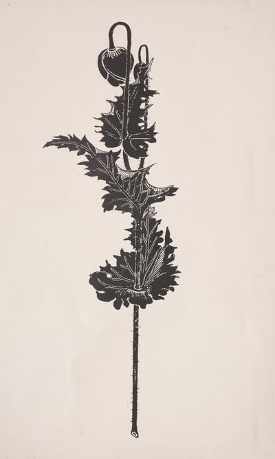 花の研究。 作： Harry Fenn