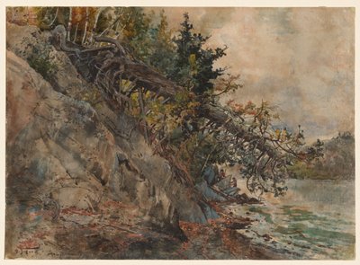 メンフレマゴグ湖c。 1880年代。 作： Harry Fenn