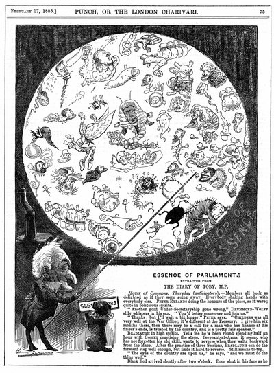 国会の本質。1883年第1回国会開会記念漫画（木版画 作： Harry Furniss