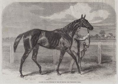 St Legerの勝者であるCaller Ou 作： Harry Hall