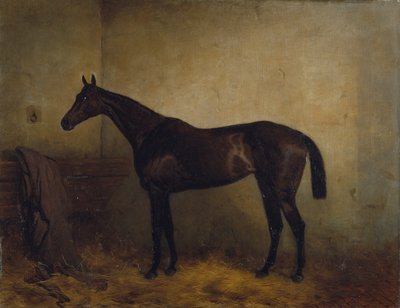 チャプレット（ルースボックスに入った褐色の競走牝馬）1877年頃（油彩・キャンバス 作： Harry Hall