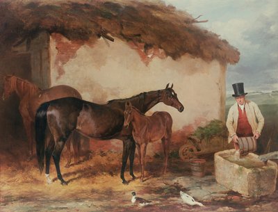 おそらく馬と一緒にいた牝馬1846 作： Harry Hall