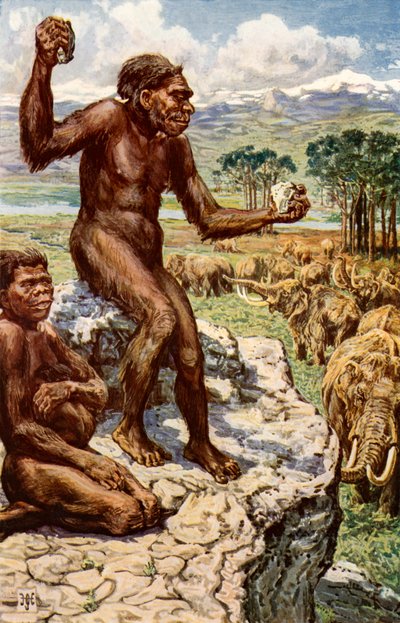 ネアンデルタール人類 作： Harry Hamilton Johnston