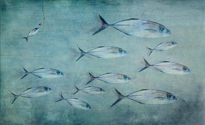 小さな魚、大きな釣り針 作： 